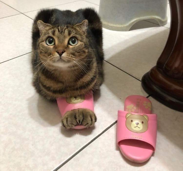 核心优势